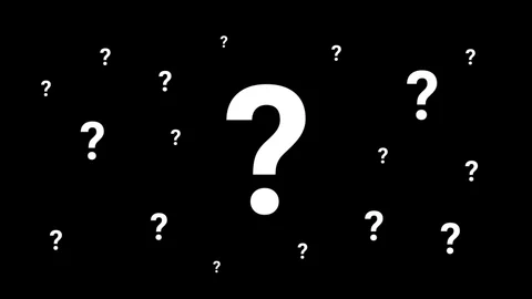 Wat is er gebeurt met KnorKnor?