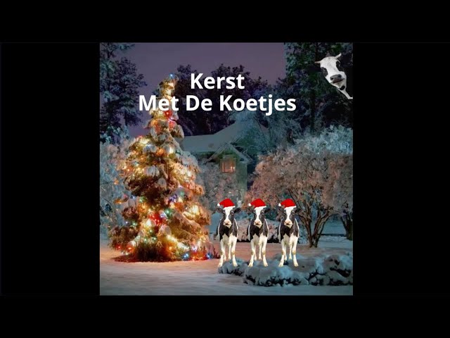 Kerst Met De Koetjes