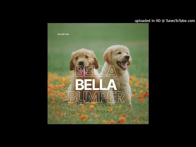 Bella Bella Bumper