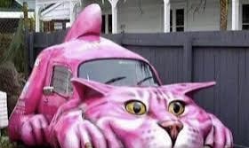 Waarom katten auto’s zijn 