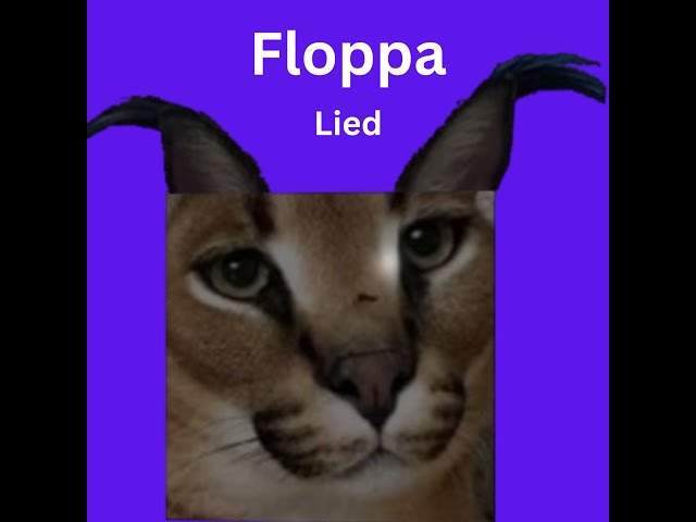 Floppa Lied